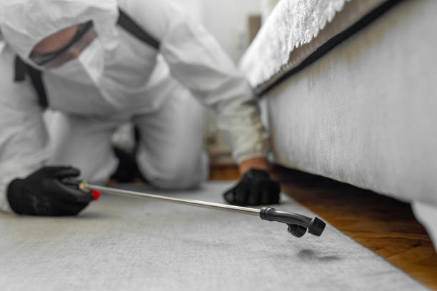 Professional Termite Control technician working in Lusk, WY