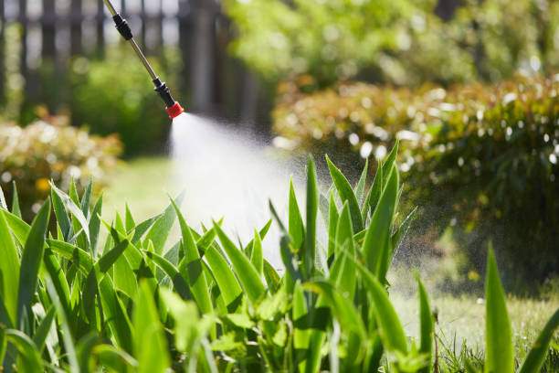 24/7 Emergency Termite Control experts in Lusk, WY