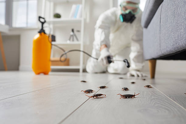 Affordable Termite Control solutions in Lusk, WY